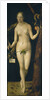 Eve, 1507 by Albrecht Dürer