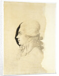 Portrait of Count Nikolay Petrovich Rumyantsev, End 1780s by I.-I. Haacke