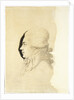 Portrait of Count Nikolay Petrovich Rumyantsev, End 1780s by I.-I. Haacke