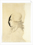 Portrait of Count Nikolay Petrovich Rumyantsev, End 1780s by I.-I. Haacke