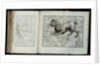 Prodromus astronomiae, 1690 by Johannes Hevelius