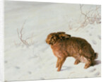 Hare in the Snow by Louis Ferdinand von Rayski