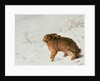 Hare in the Snow by Louis Ferdinand von Rayski