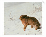 Hare in the Snow by Louis Ferdinand von Rayski