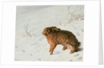 Hare in the Snow by Louis Ferdinand von Rayski