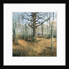 Wermsdorf Forest, 1859 by Louis Ferdinand von Rayski