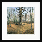 Wermsdorf Forest, 1859 by Louis Ferdinand von Rayski