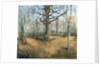 Wermsdorf Forest, 1859 by Louis Ferdinand von Rayski