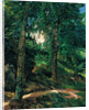 Castle Grounds in Lichtenberg in Odenwald, 1900 by Heinrich Wilhelm Trübner