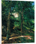 Castle Grounds in Lichtenberg in Odenwald, 1900 by Heinrich Wilhelm Trübner