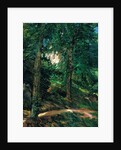 Castle Grounds in Lichtenberg in Odenwald, 1900 by Heinrich Wilhelm Trübner
