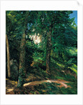 Castle Grounds in Lichtenberg in Odenwald, 1900 by Heinrich Wilhelm Trübner