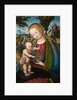 Virgin with Cherries, ca 1506 by Lucas Cranach the Elder