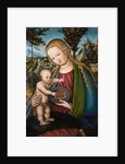 Virgin with Cherries, ca 1506 by Lucas Cranach the Elder
