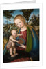 Virgin with Cherries, ca 1506 by Lucas Cranach the Elder