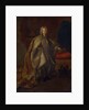 Portrait of the Tsar Peter II of Russia, 1728 by Johann Paul Luedden