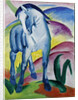 Blue Horse I, 1911 by Franz Marc