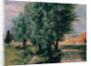 Building Site with Willows, 1846 by Adolph Friedrich von Menzel