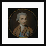 Portrait of Prince Nikolay Ivanovich Saltykov, 1780s by Johann Heinrich Schmidt