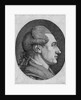 Portrait of the author Johann Wolfgang von Goethe by Dora Stock