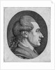 Portrait of the author Johann Wolfgang von Goethe by Dora Stock