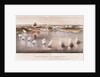 Bombardment of Bomarsund, 1854 by Edwin Thomas Dolby