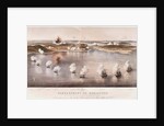 Bombardment of Bomarsund, 1854 by Edwin Thomas Dolby