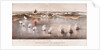 Bombardment of Bomarsund, 1854 by Edwin Thomas Dolby