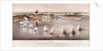 Bombardment of Bomarsund, 1854 by Edwin Thomas Dolby