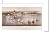 Bombardment of Bomarsund, 1854 by Edwin Thomas Dolby