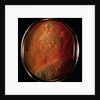 Cameo with Mars and Bellona, ca 1784 by Charles Brown