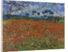 Poppy field by Vincent Van Gogh