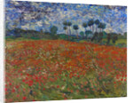 Poppy field by Vincent Van Gogh