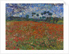 Poppy field by Vincent Van Gogh