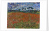 Poppy field by Vincent Van Gogh