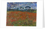 Poppy field by Vincent Van Gogh