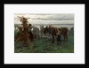 Boys herding donkeys, 1865 by Willem Maris