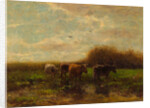 Cows at evening by Willem Maris