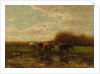 Cows at evening by Willem Maris