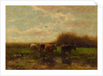 Cows at evening by Willem Maris