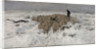 Flock of sheep with shepherd in the snow, 1887-1888 by Anton Mauve
