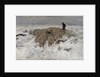 Flock of sheep with shepherd in the snow, 1887-1888 by Anton Mauve