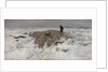 Flock of sheep with shepherd in the snow, 1887-1888 by Anton Mauve