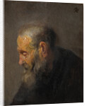Study of an Old Man in Profile, c.1630 by Rembrandt van Rhijn