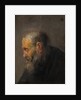 Study of an Old Man in Profile, c.1630 by Rembrandt van Rhijn