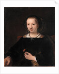 Young Woman with a Carnation, 1656 by Rembrandt van Rhijn
