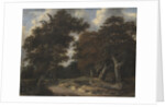 Road through an Oak Forest, 1646-1647 by Jacob Isaacksz van Ruisdael