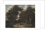 Road through an Oak Forest, 1646-1647 by Jacob Isaacksz van Ruisdael