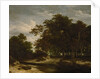 The Great Forest, c. 1660 by Jacob Isaacksz van Ruisdael