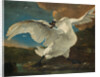 The Threatened Swan, before 1652 by Jan Asselijn
